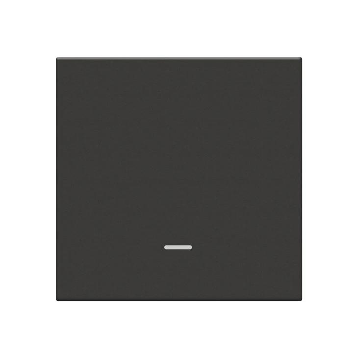1 Gang EU Standard Smart Press Switch Voice&App Control Wall Panel