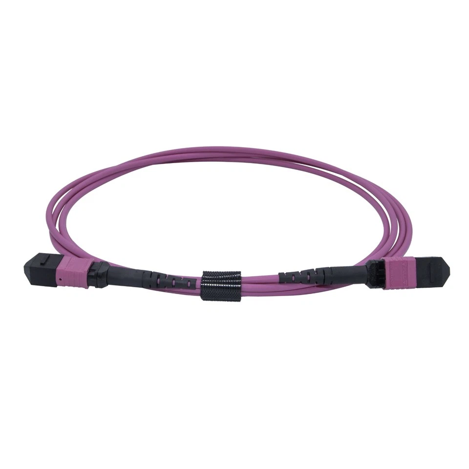 3m LSZH OM4 12-Core Multimode Fiber Optic MPO Patch Cord factory