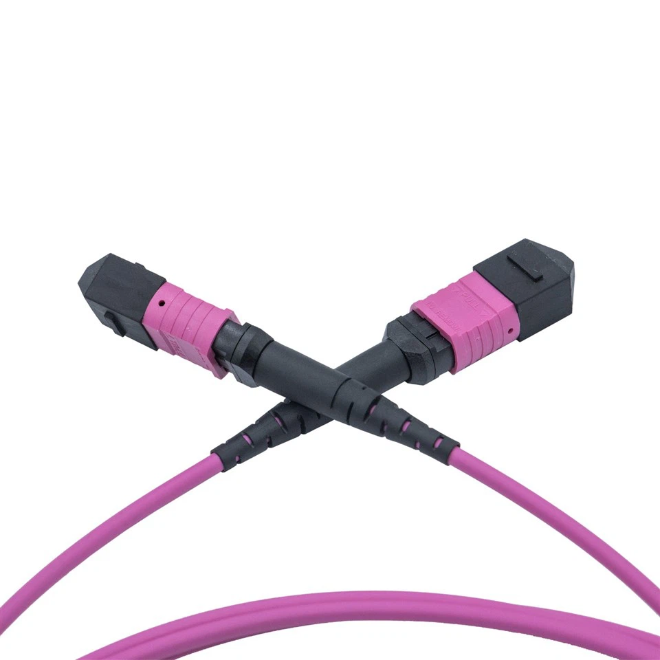 3m LSZH OM4 12-Core Multimode Fiber Optic MPO Patch Cord factory