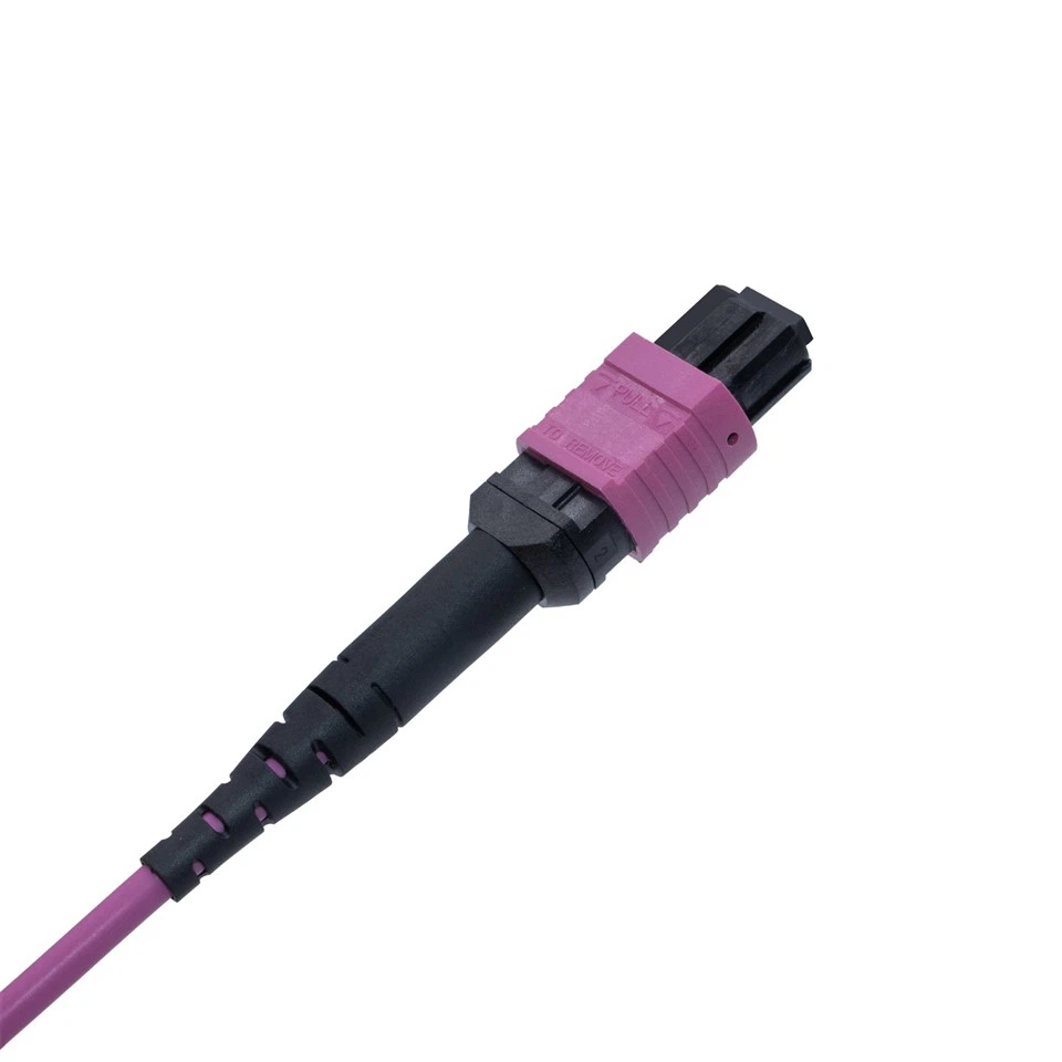 3m LSZH OM4 12-Core Multimode Fiber Optic MPO Patch Cord best