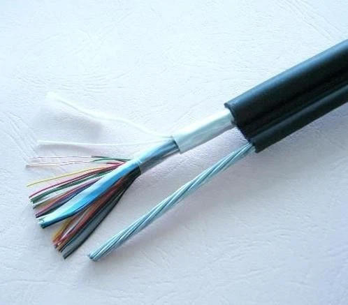 The most commonly used types of twisted pair cables include Category 3 (CAT3), Category 5 (CAT5), Enhanced Category 5 (CAT5e), and Category 6 (CAT6). Earlier categories have thinner cable diameters compared to later ones with thicker diameters - 2 The most commonly used types of twisted pair cables include Category 3 (CAT3), Category 5 (CAT5), Enhanced Category 5 (CAT5e), and Category 6 (CAT6). Earlier categories have thinner cable diameters compared to later ones with thicker diameters - 2